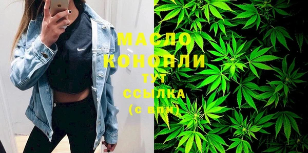 сатива Ельня
