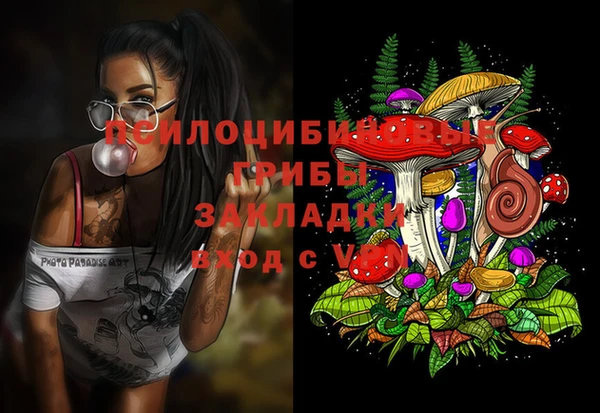 эйфоретик Алексеевка