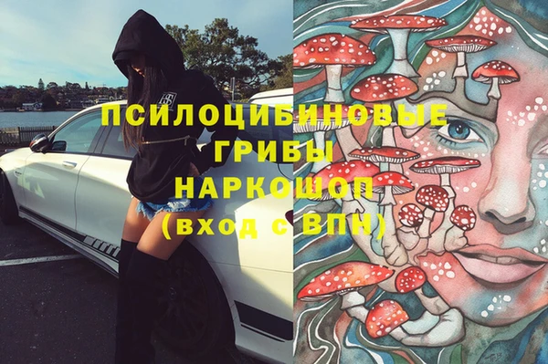 СК Абаза