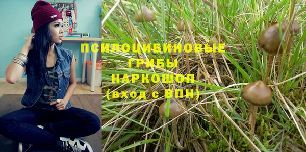 дурь Алзамай